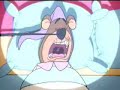 CN Shorties: When Animals Nap