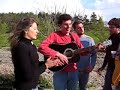 vietri di potenza - pasquetta 2007 - raffo suona