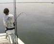 Big Tarpon at Boca Grande