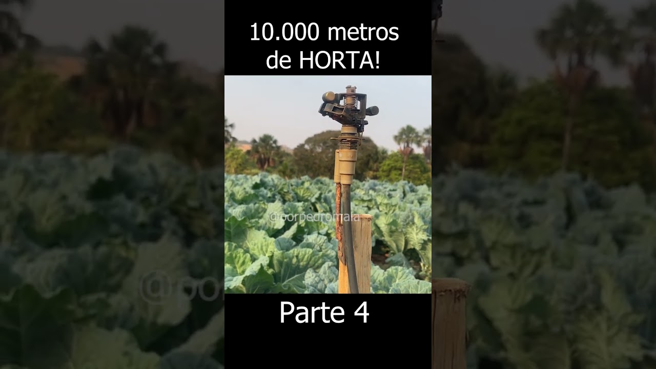 [Parte 4] Como é uma horta de 10000 metros ?  #agricultura #hortaurbana #hortalicas