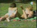 Un chien pervert