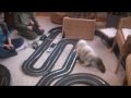 Go-Kart Kazzie and the Circuit de Vesta