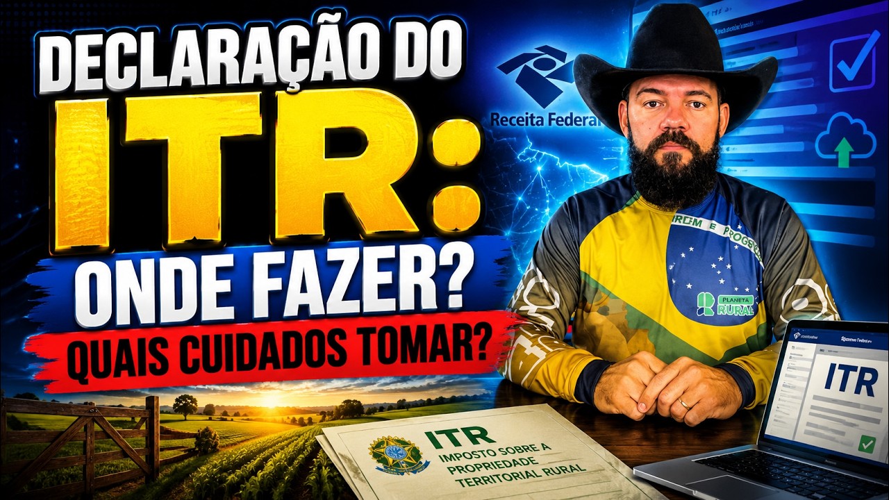 Declaração do ITR: onde fazer? Quais cuidados tomar?