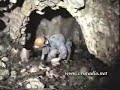 YUGOSLAVIAN ATTROCITIES JAZOVKA YUGOSLAVIAN ATTROCITIES JAZOVKA