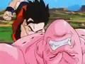 DBZ-Stupid-MF