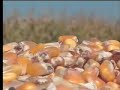 Sustainability: Growing for the Future
