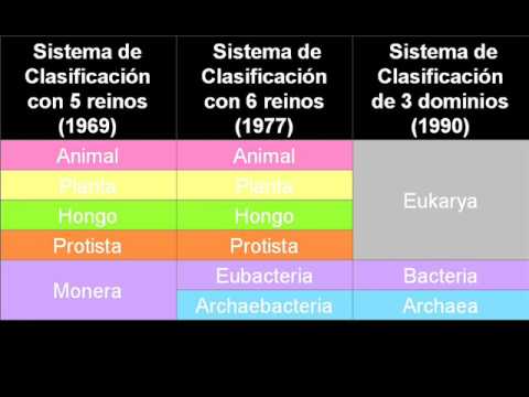 Vídeos Educativos.,Vídeos:Taxonomía