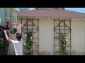 slam dunking eli and jake