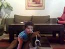 liron and roko