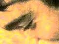 ??eytan b?yle ?a??r?l?r