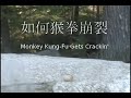 Monkey Kung-Fu Gets Crackin.wmv