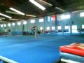 2 Backhandsprings and backflip- Franz Ippisch