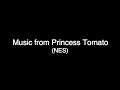 i couldn't find the music for princess tomatoanywhere! so i ripped it myself. here you go! you can download the whole soundtrack here: www.sendspace.com music is not mine. copyrighted to the makers of the game. i take credit for nothing! except ripping the music. i did that work. for what that's worth. princess tomato is now on the virtual console for the wii! yay!
