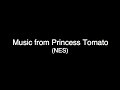 i couldn't find the music for princess tomatoanywhere! so i ripped it myself. here you go! you can download the whole soundtrack here: www.sendspace.com music is not mine. copyrighted to the makers of the game. i take credit for nothing! except ripping the music. i did that work. for what that's worth. princess tomato is now on the virtual console for the wii! yay!