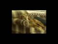 humanities self portrait video