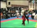 Mairena WTKA 2009 - Semifinal Light Contact