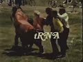 protein synthesis dance protein synthesis dance