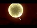 QUOO! - Logoanimation - FH Ansbach 2007