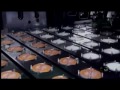 Great video of a Garvey Infinity accumulation table and laner at Kozy Shack Pudding. 4:32 #howitsmade http://t.co/0exr2byj