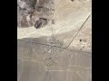 videos de UPRR intermodal train@Daggett, Calif.