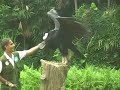 Jurong Birdpark, Singapore Holiday 2005