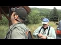 Guarda video