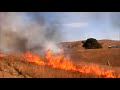 Calfire training COA22