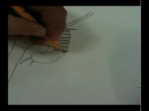 See video