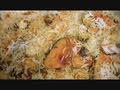 Fish Biryani - how to cook fish biryani