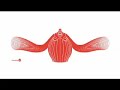 Kenji Yanobe x ISSEY MIYAKE / Queen Mamma