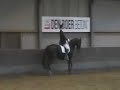 Shine Groot-Ammers selectie Z1, proef Shine Groot-Ammers selectie Z1, proef