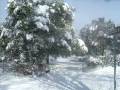 videos de Volterra sotto la neve - by Renato Caldon