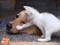 You are so Beautiful To Me . . . .