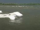 D�but surf Clara : les videos Surf