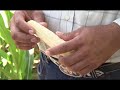 Lanzan plan de agricultura 2011
