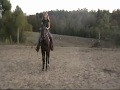 videos de Poco and Kimberly