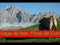 Asturias - Piensa en verde
