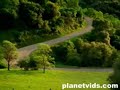 Classic Auto Comercial