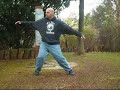 Tai Chi Swing Series Tai Chi Swing Series