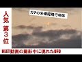 UFO 未確認飛行物体