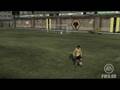 Fifa 09 Goal