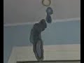 me and my chimes (my chimes and i)