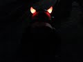 extra terrestre ou gnomo? em itanhaem...
