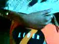 chica lider 2008