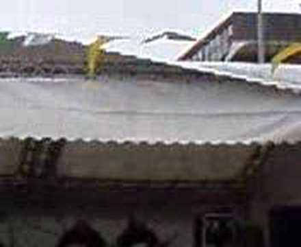 st patrick's day coatbridge(near ...