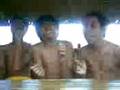 videos de Shake it. parody