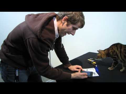 Bluetooth tips - http://www.ncix.com/search/?categoryid=0&q=ihelicopter Yep more toys. This one is pretty cool though and my cat totally takes it out in mid-flight!