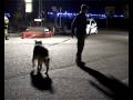 SICUREZZA STRADALE PREVENZIONE DROGA E ALCOOL