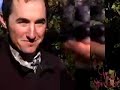 Hard Labor 6: Picking and Sorting | Wine Spectator Hard Labor 6: Picking and Sorting | Wine Spectator