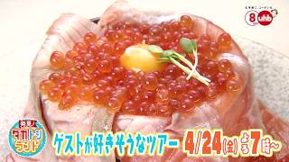 発見！タカトシランド